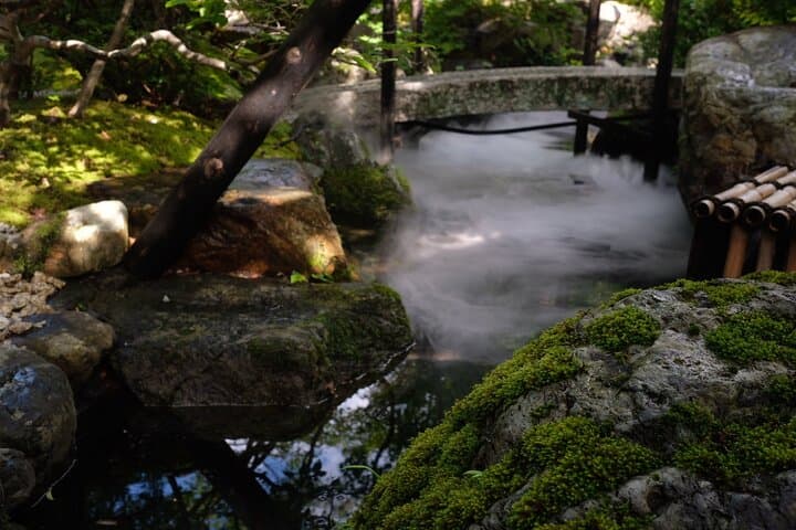 Japanese Tea Ceremony — photo 3