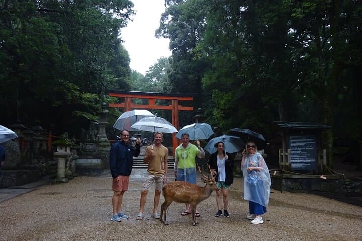 Nara Day Trip from Kyoto with a Licensed Guide — photo 3