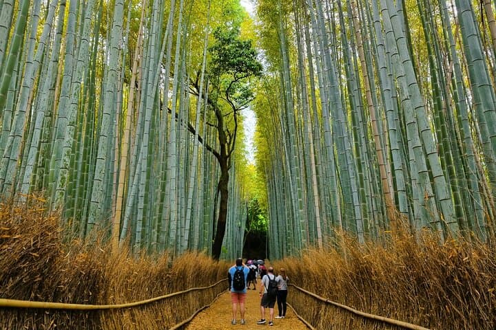 Fushimi Inari - Arashiyama: Torii Gates, Bamboo, Monkeys & Secret — photo 14