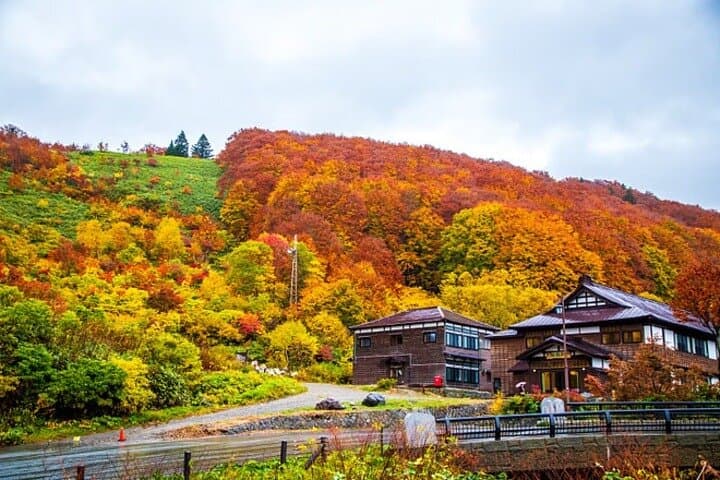 Aomori Private Vehicle Service with Restaurant Reservation — photo 2