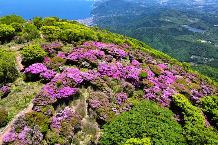 Discover Beppu and Yufuin Nature and Onsen Trip — photo 12