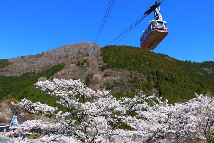 Discover Beppu and Yufuin Nature and Onsen Trip — photo 7