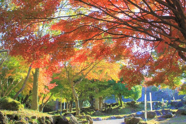 Discover Beppu and Yufuin Nature and Onsen Trip — photo 19