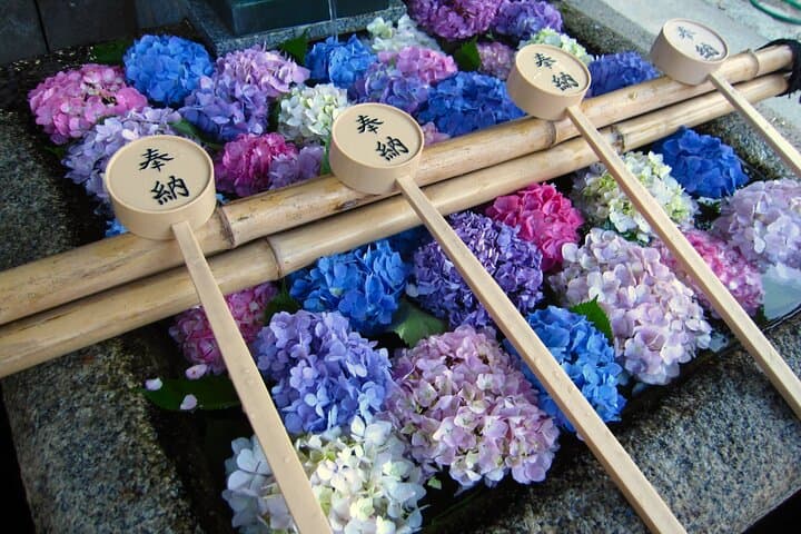 Kyoto Private Hydrangea Tour by Car and Rail — photo 1