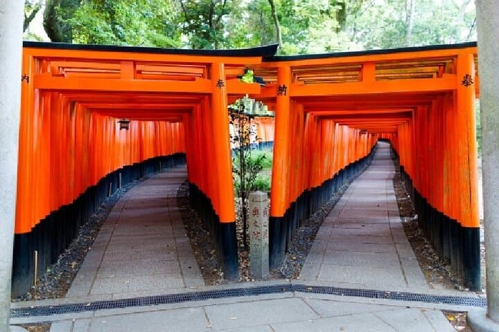 Kyoto Private Hydrangea Tour by Car and Rail — photo 9