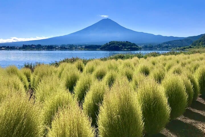 Mt Fuji and Lake Kawaguchi 1-Day Luxury Bus Tour From Tokyo — photo 11