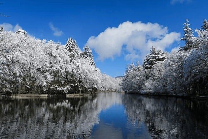 Karuizawa Private Vehicle Service with Restaurant Reservation — photo 4