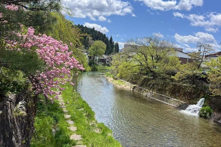 Takayama and Shirakawa-go, observatory Deck| Day Tour from Nagoya — photo 8