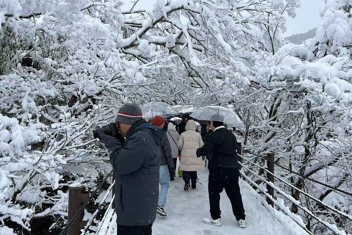 Takayama and Shirakawa-go, observatory Deck| Day Tour from Nagoya — photo 15