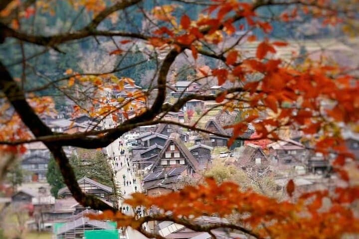 Takayama and Shirakawa-go, observatory Deck| Day Tour from Nagoya — photo 11