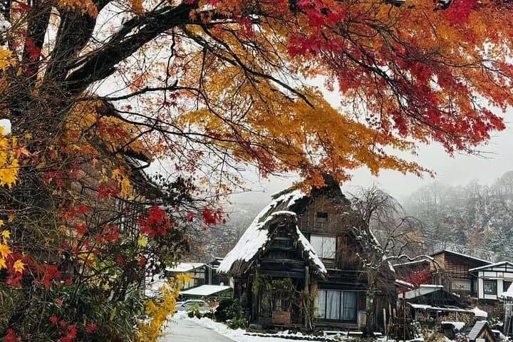 Takayama and Shirakawa-go, observatory Deck| Day Tour from Nagoya — photo 12
