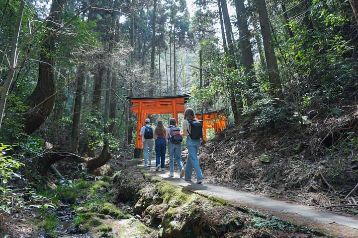 Kyoto: Fushimi Inari Hidden Hike (Private) — photo 8