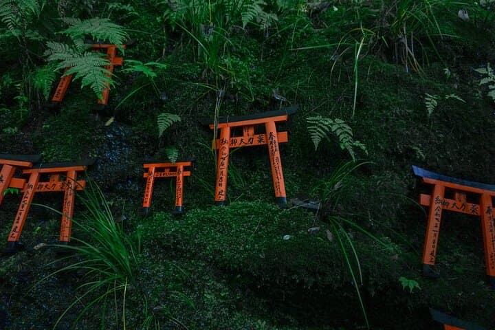 Kyoto: Fushimi Inari Hidden Hike (Private) — photo 16