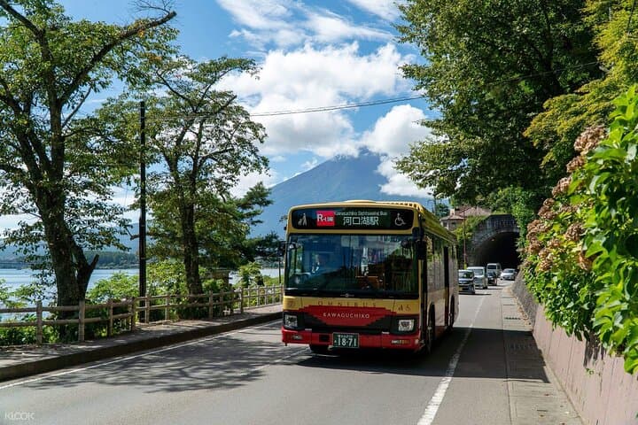 Mount Fuji Passes (optional) — photo 3