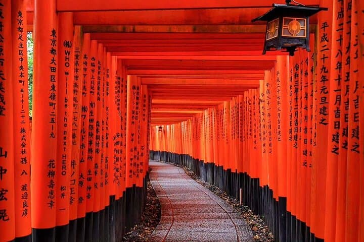 Kyoto Panoramic Day Tour Fushimi Inari Arashiyama and Temples — photo 4