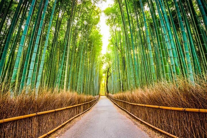 Kiyomizu dera Fushimi Inari and Nara Park Day Tour — photo 15