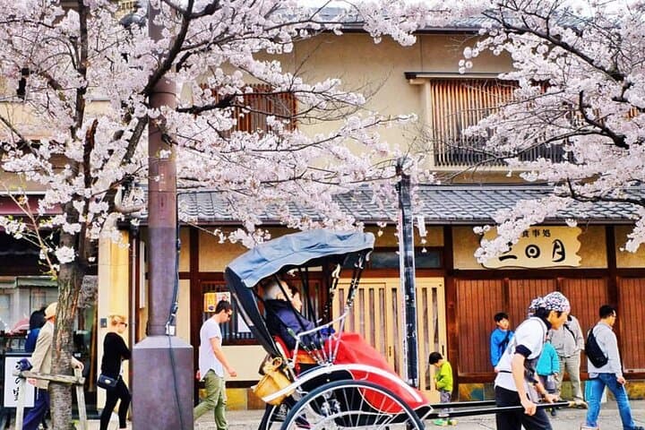 Kyoto Panoramic Day Tour Fushimi Inari Arashiyama and Temples — photo 1