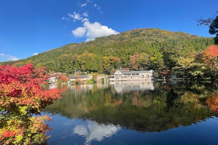 Discover Beppu and Yufuin Nature and Onsen Trip — photo 18