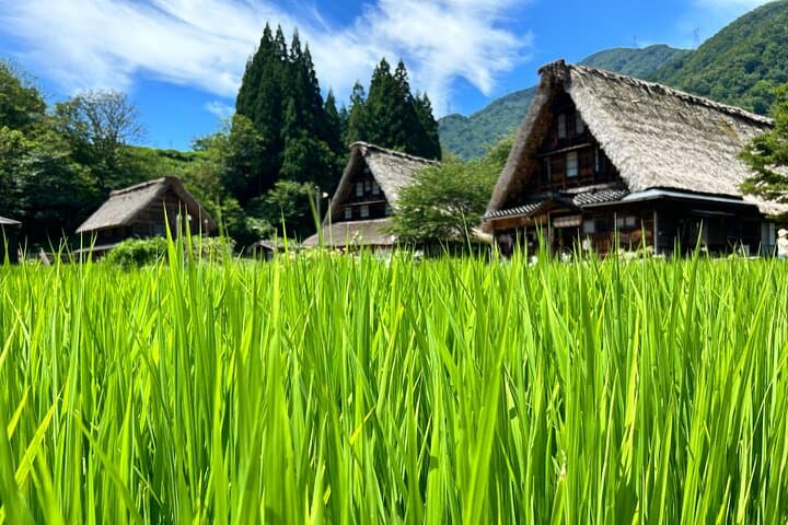 Gokayama and Shirakawago (UNESCO Heritage) Small Group(Max 9) — photo 8