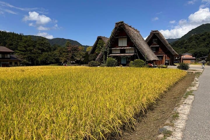Gokayama and Shirakawago (UNESCO Heritage) Small Group(Max 9) — photo 13