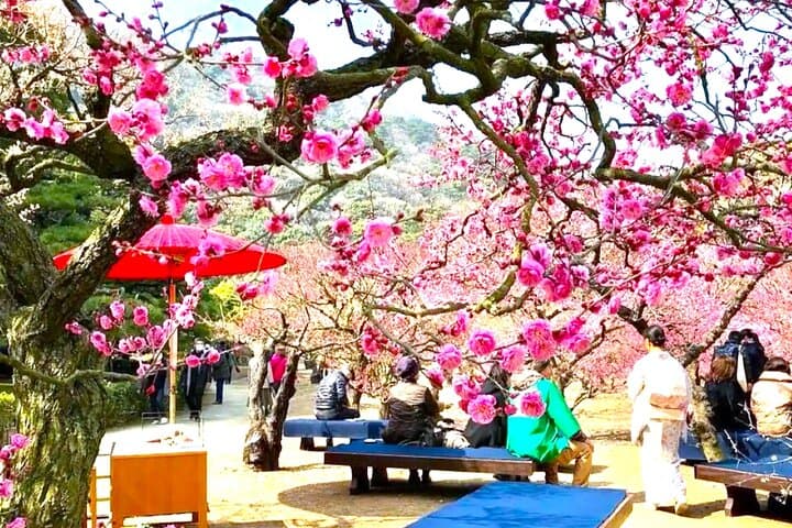 Don a kimono, take a stroll in the Michelin 3star's Ritsurin Park — photo 16