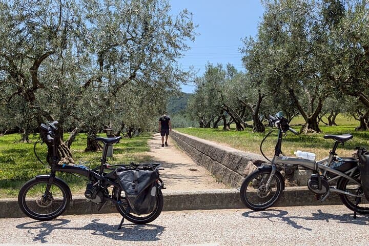 Full-Day E-Bike Adventure in Shodoshima with Local Sweets — photo 3
