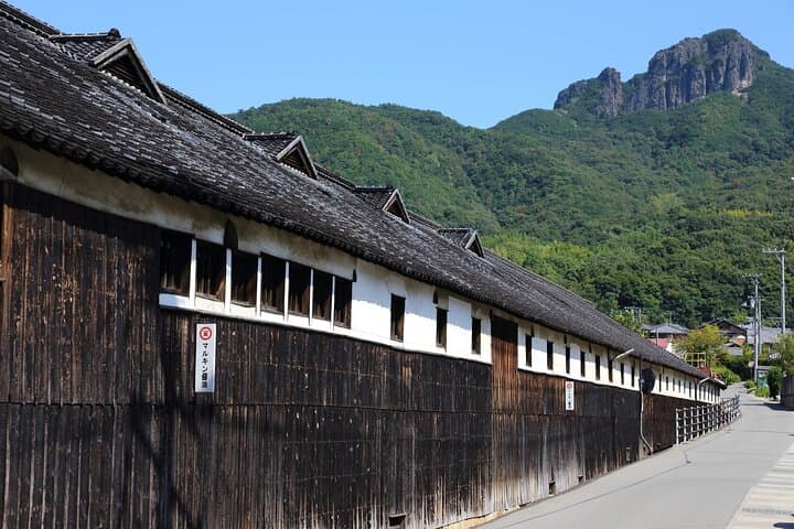 Full-Day E-Bike Adventure in Shodoshima with Local Sweets — photo 11