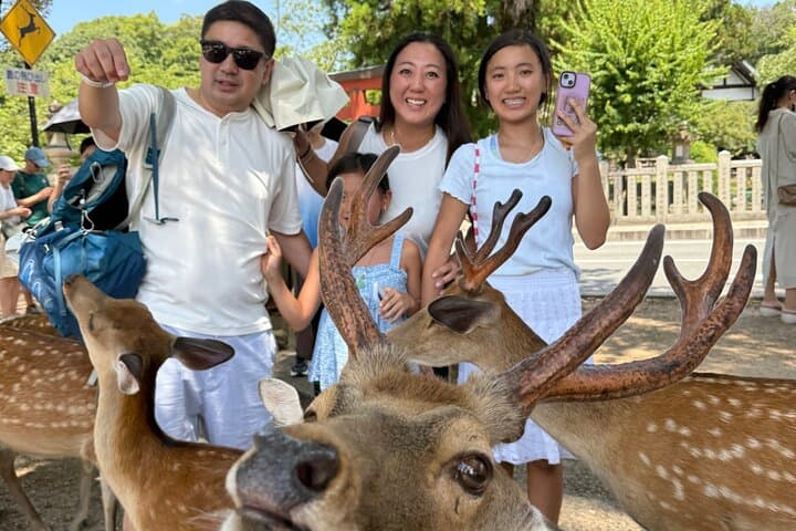 Private Kyoto Tour by Car with Optional Nara or Osaka Add-Ons — photo 17
