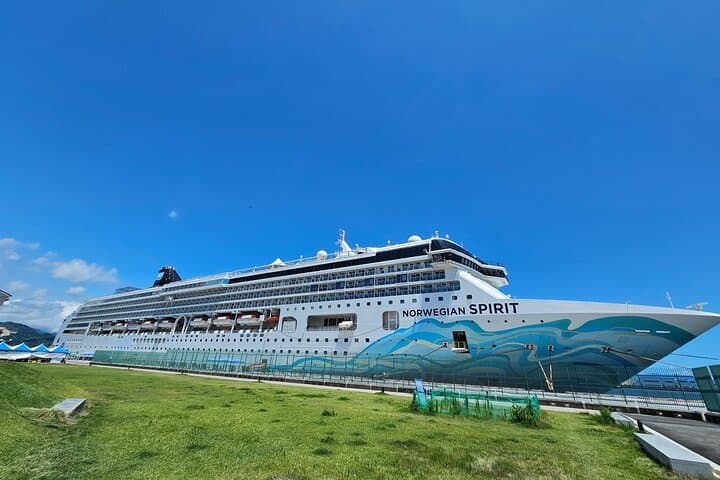 Mount Fuji Scenic EBike Tour for Cruise Travelers — photo 12