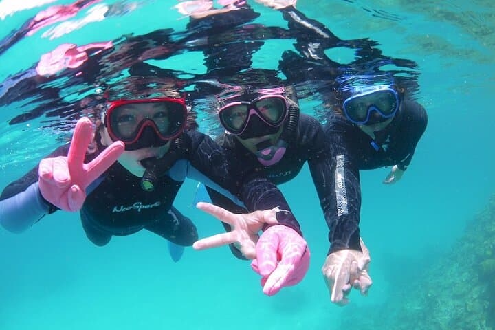 Sea Turtle Snorkel Tour to Swim with Corals and Fish on Ishigaki Island～ — photo 14