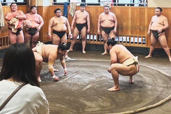 Tokyo: Sumo Morning Practice Viewing Tour at a Real Stable — photo 4