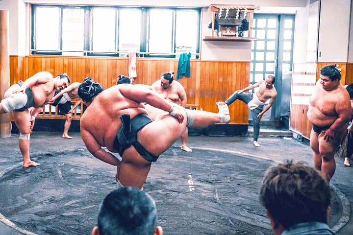 Tokyo: Sumo Morning Practice Viewing Tour at a Real Stable — photo 7