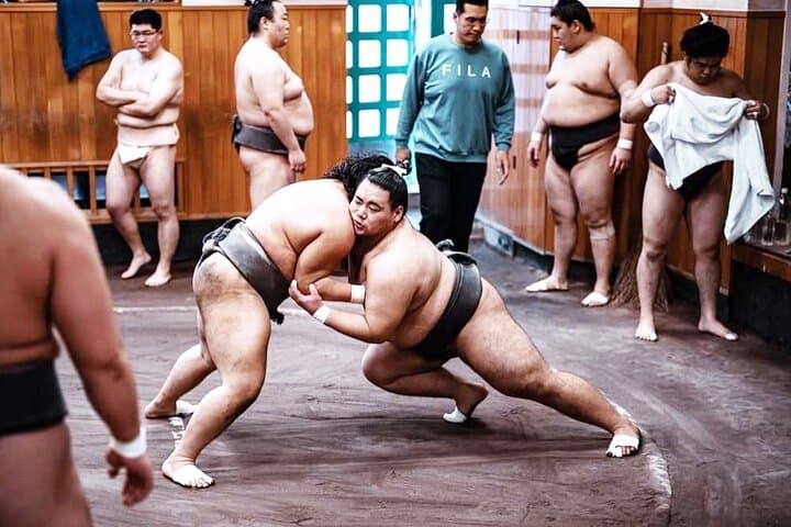 Tokyo: Sumo Morning Practice Viewing Tour at a Real Stable — photo 8