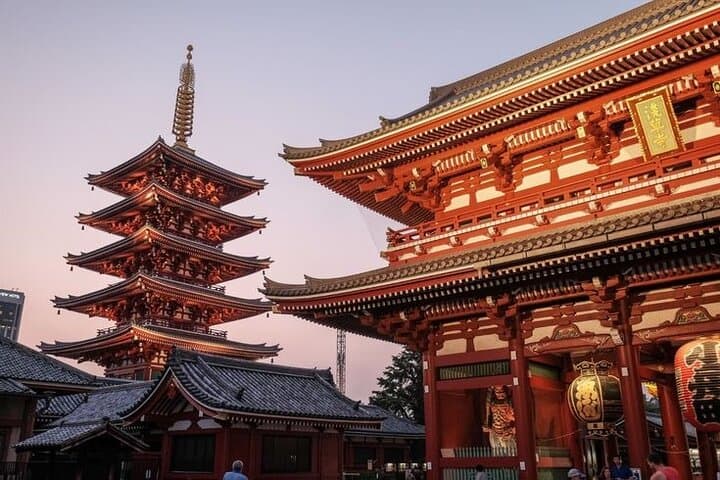 Private Customizable Full Day Tokyo tour