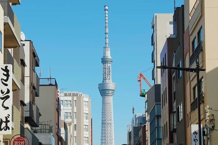 Private Customizable Full Day Tokyo tour — photo 2