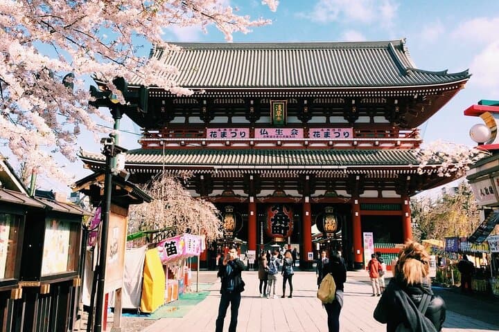 Private Customizable Full Day Tokyo tour — photo 3