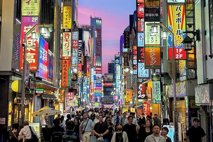 Private Customizable Full Day Tokyo tour — photo 4