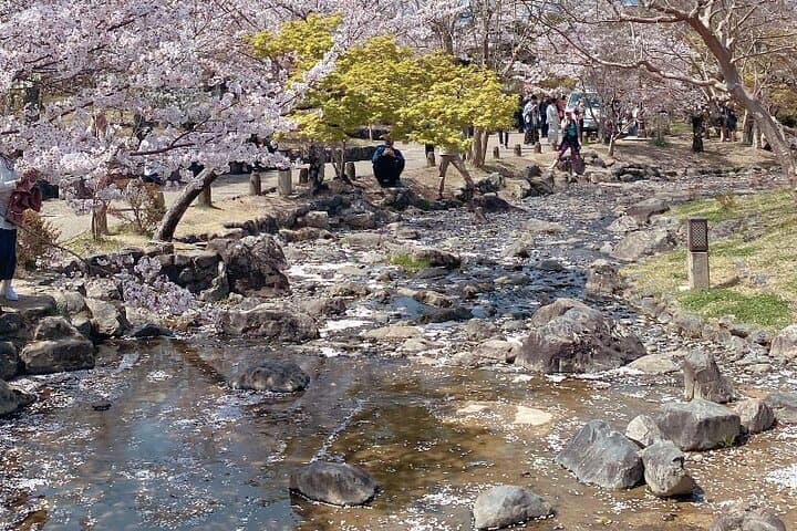 Explore Hidden Kyoto by E-Bike: Private, Scenic & Fun — photo 13