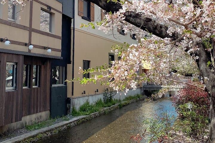 Explore Hidden Kyoto by E-Bike: Private, Scenic & Fun — photo 17