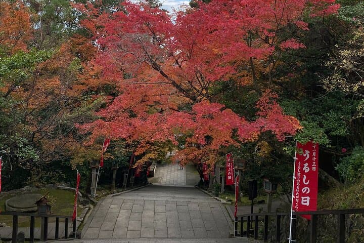 Explore Hidden Kyoto by E-Bike: Private, Scenic & Fun — photo 20