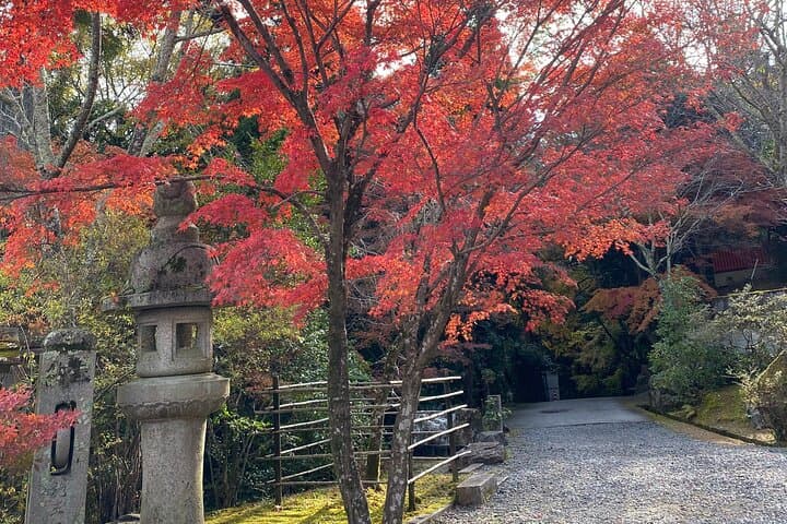 Explore Hidden Kyoto by E-Bike: Private, Scenic & Fun — photo 14