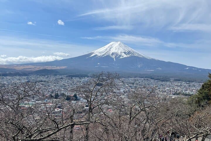 Mount Fuji Sights -Sake Tasting -Tatoo OK Onsen w/ a local Guide — photo 2