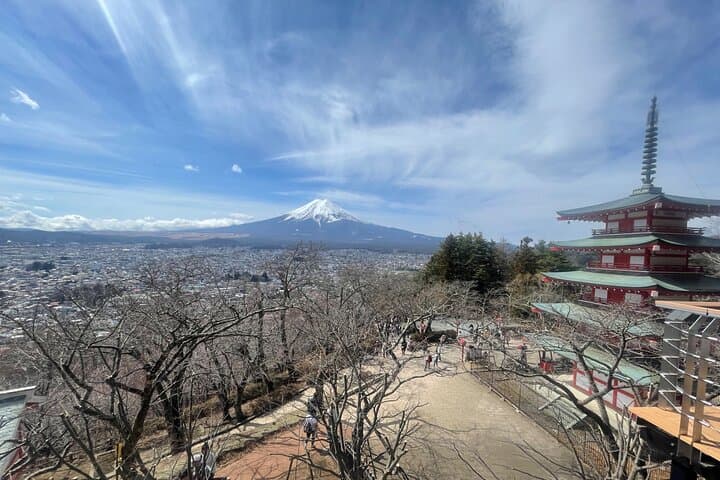 Mount Fuji Sights -Sake Tasting -Tatoo OK Onsen w/ a local Guide — photo 4