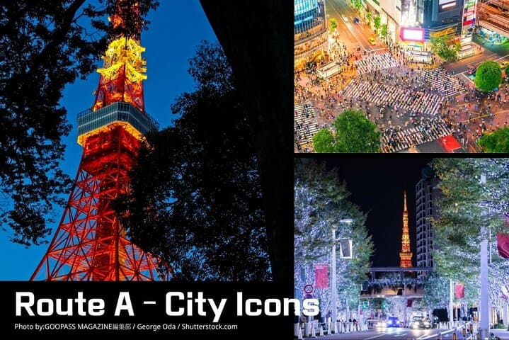Tokyo City Lights Night Drive – 3-Hour Private Car Tour — photo 2