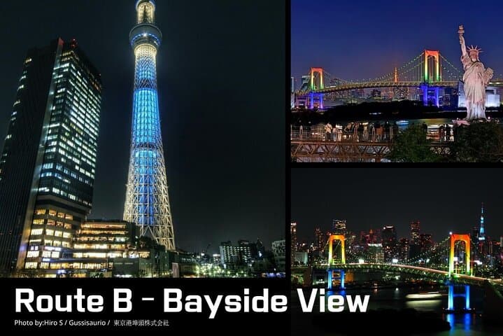 Tokyo City Lights Night Drive – 3-Hour Private Car Tour — photo 3
