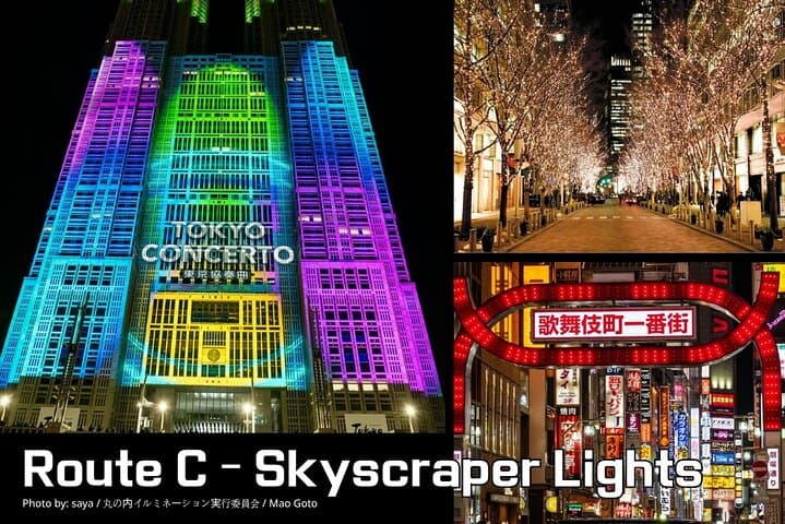 Tokyo City Lights Night Drive – 3-Hour Private Car Tour — photo 4