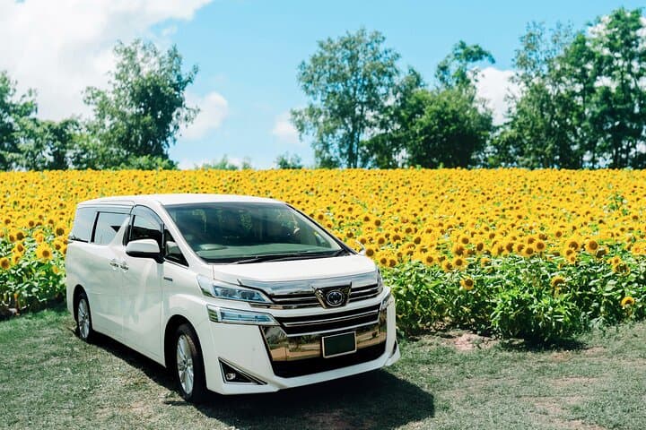 Wherever you want! 1-Day Private Tour from Sapporo to Furano more — photo 9