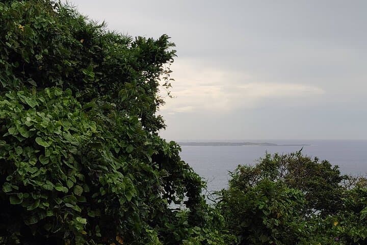 Okinawa: Sacred Sefa Utaki Walk into Ryukyu’s Spiritual — photo 6