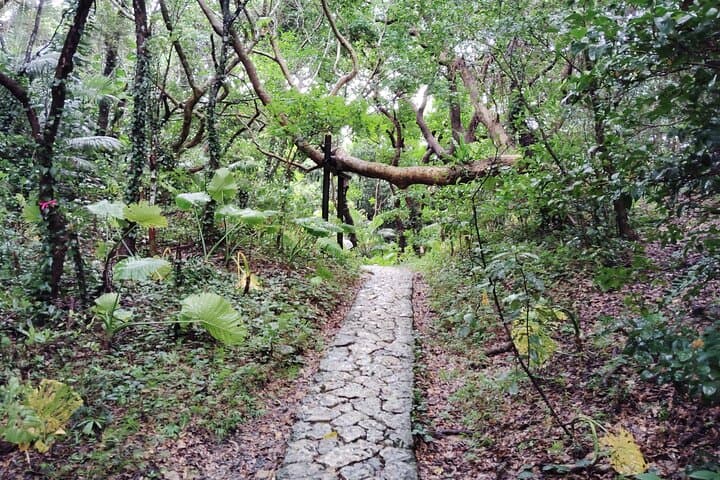 Okinawa: Sacred Sefa Utaki Walk into Ryukyu’s Spiritual — photo 4