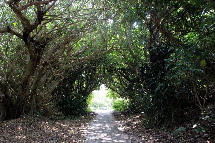 Okinawa: Sacred Island Tour to Kudaka’s Ryukyuan Holy Sites — photo 4
